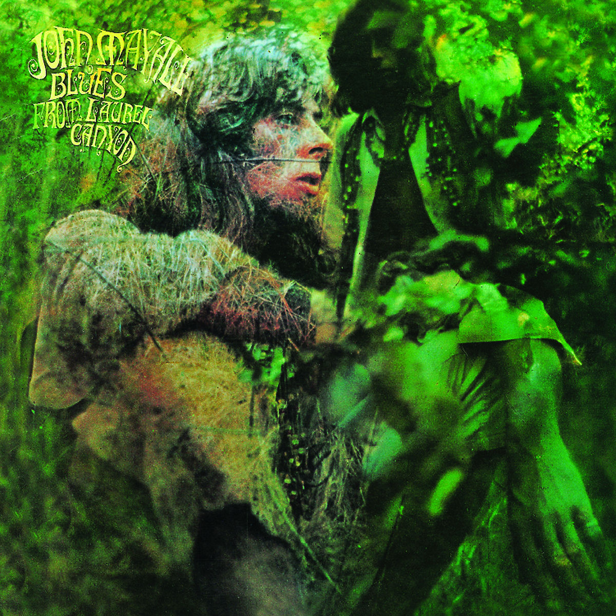 Albumcover: Mann in Grün, verschwommener Hintergrund, Titel 'Blues from Laurel Canyon'.