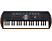 CASIO SA76 - instrument de musique (Noir/orange)