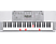 CASIO LK-280 - Clavier rétroéclairé (Gris)