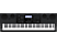 CASIO WK-6600 - Keybord (Schwarz)