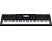 CASIO WK-6600 - Clavier (Noir)