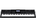 CASIO WK-6600 - Keybord (Schwarz)