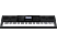 CASIO CASIO WK-7600 - Piano - 76 tasti - Nero - stile piano (Nero)