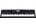 CASIO WK-7600 - Piano-Style (Schwarz)