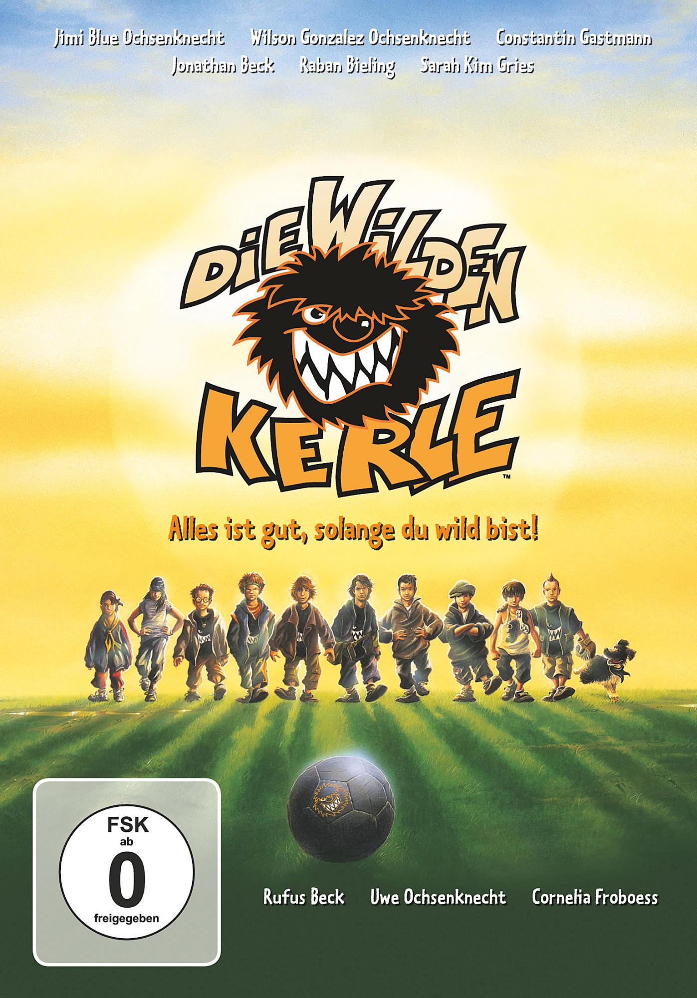 DVD-Cover: Die Wilden Kerle. Eine Gruppe Jungen und ein Ball auf einem grünen Feld.