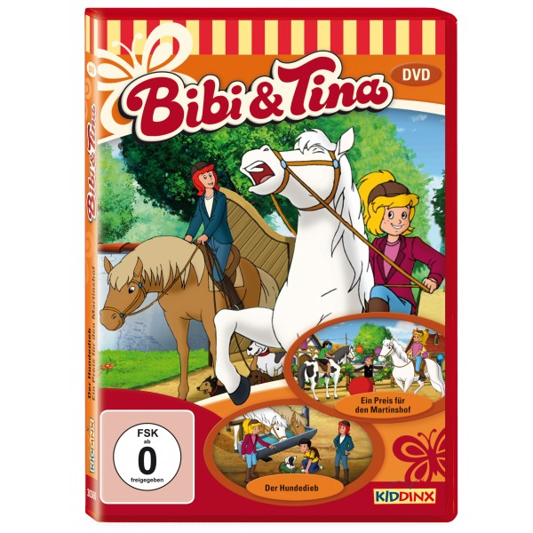 DVD-Cover: Cartoon eines Mädchens, das ein Pferd reitet, andere Pferde und Charaktere im Hintergrund.