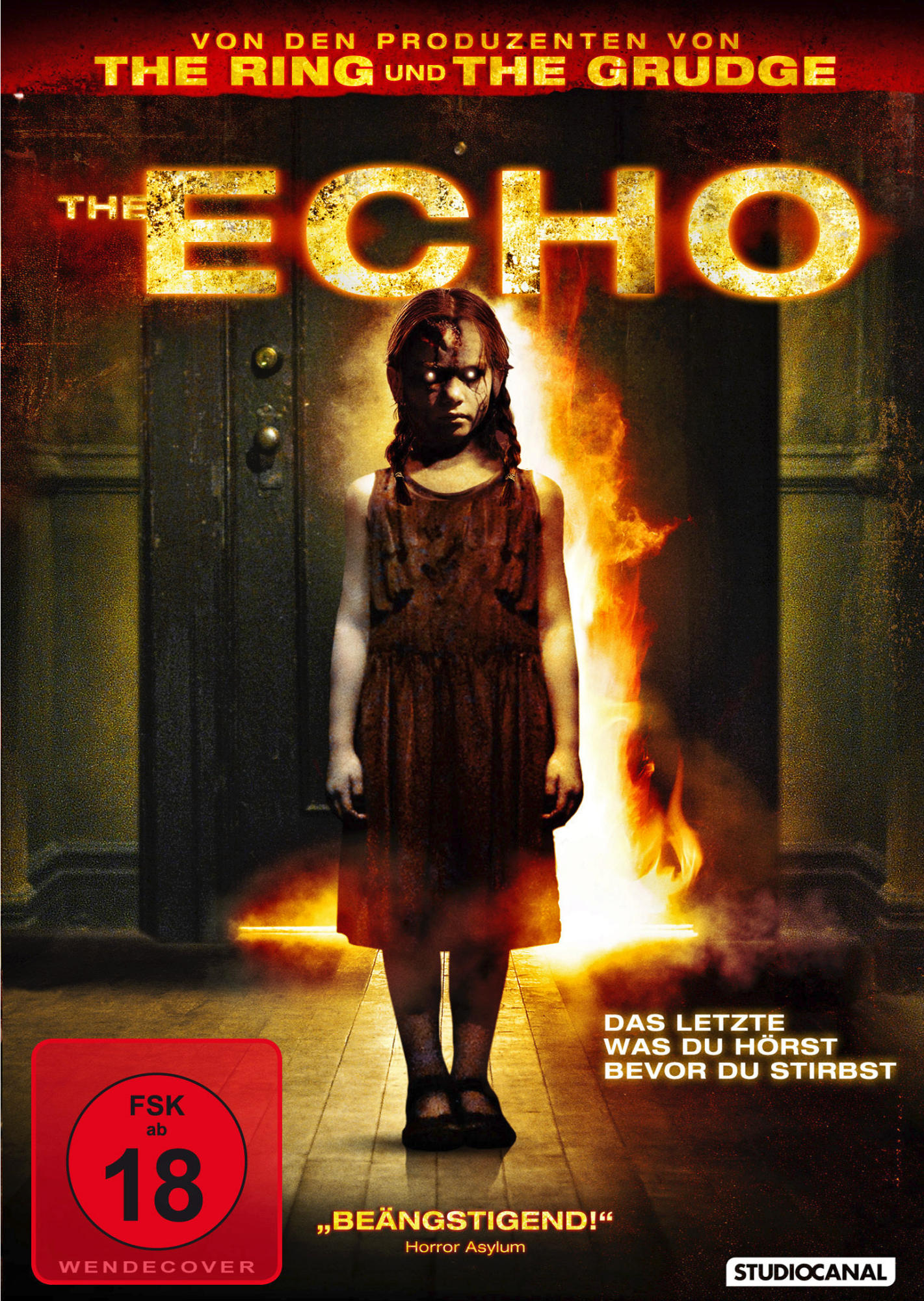 The Echo DVD