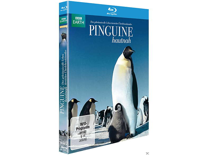 Pinguine Hautnah Blu-ray