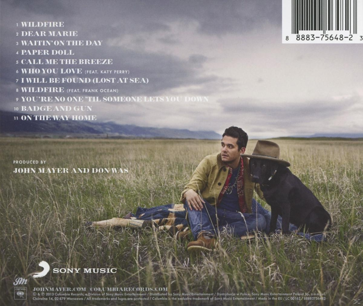 Rückseite eines John Mayer-Albums, John Mayer mit einem Hund auf einem Feld.