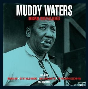 Muddy Waters album borítója. Fekete-fehér fotó egy férfiról. Felülírt szöveg. Kék háttér.