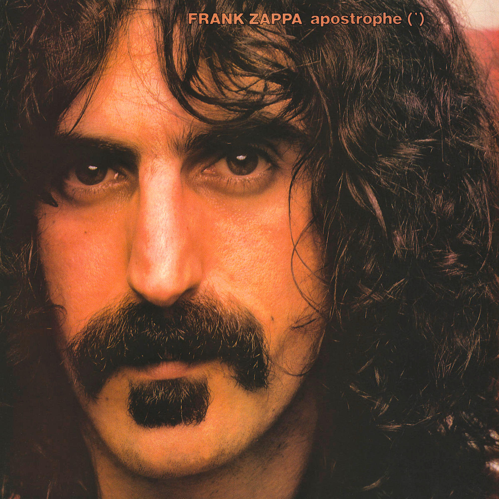 Frank Zappa albumborítója, közelkép az arcáról bajusszal és hosszú hajjal.