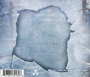 Album-Rückseite mit Riss-Eis-Design. Enthält eine Titelliste und Albumdetails.