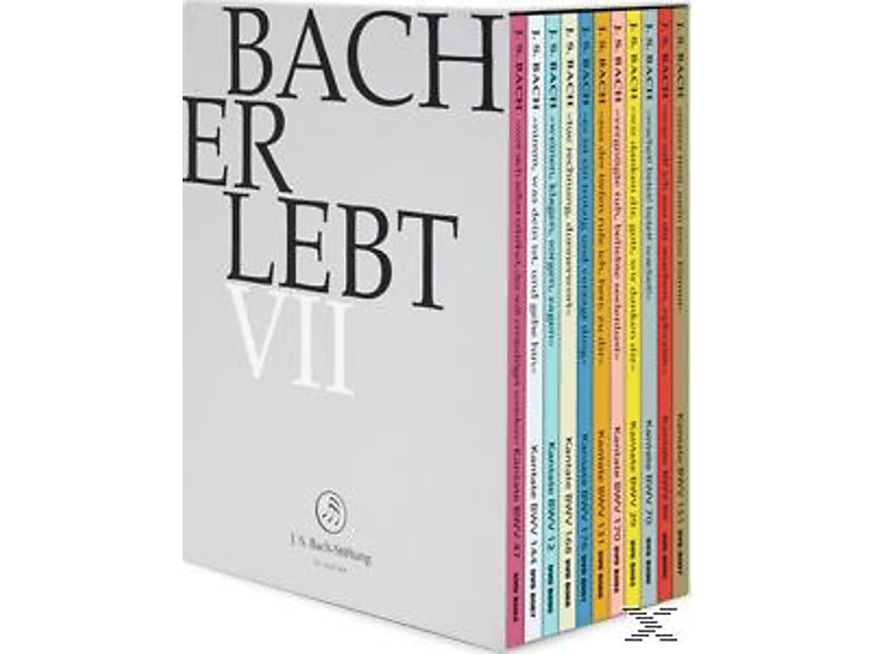 Rudolf Lutz / J.S. Bach-Stiftung - Bach Erlebt Vii  - (DVD)
