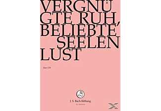 Rudolf Lutz / J.S. Bach-Stiftung - Vergnügte Ruh, Beliebte Seelenlust  - (DVD)