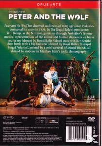 Paul / Royal Ballet Sinfonia Murphy - Peter And The Wolf  - (DVD)