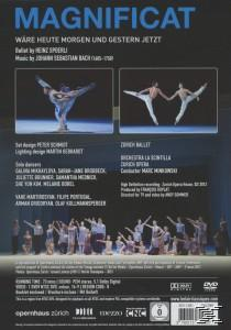 Spoerli/Zuercher Ballett - Magnificat  - (DVD)