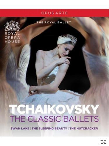 Ballett-Aufführungsplakat mit einer Ballerina in weißem Kleid, dem Titel Tschaikowsky und Namen von Balletten.
