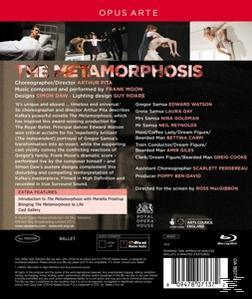 DVD-Rückseite für das Ballett The Metamorphosis. Besetzung und Credits sind aufgelistet. Ballettbild oben.