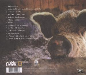 Forro In The Dark - Light a Candle  - (CD)