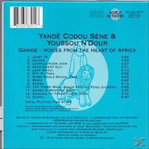 Youssou N'Dour, Yandé Codou Sène - Senegal  - (CD)