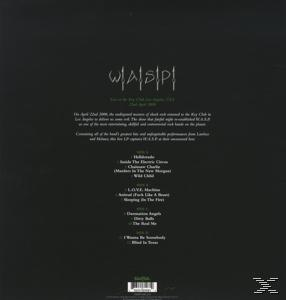 W.A.S.P. - The Sting (Limited Edition)  - (Vinyl)