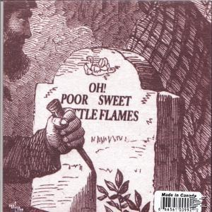 Thee Silver Mt. Zion Memorial Orchestra - Fuck Off Get Free We Pour Light On  - (CD)