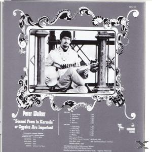 Albumcover, ein Mann mit einer Gitarre in einem Rahmen und Text.