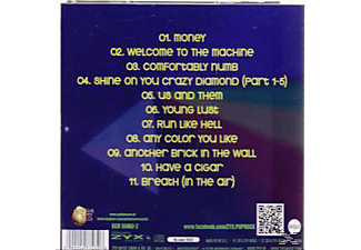 VARIOUS - Tribute To Pink Floyd  - (CD)