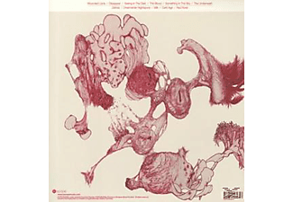 Mothlite - Dark Age (180 Gr.Gatefold)  - (Vinyl)