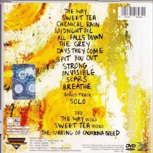 CD-Cover mit Titelliste. Gelber und weißer Hintergrund mit Text.