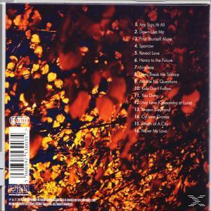 Ken Stringfellow - I Never Said I'd Make It Easy  - (CD)