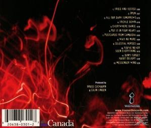 Bruce Cockburn - You've never seen everything  - (CD)