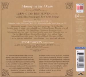 CD-Cover. Album 'Musing on the Ocean'. Text und beigefarbener Hintergrund.