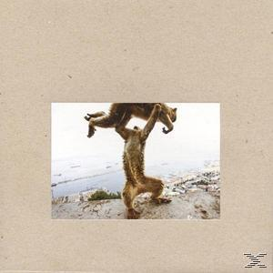 Shellac - DUDE INCREDIBLE  - (CD)