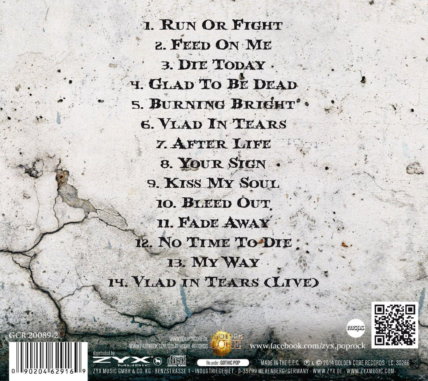 Rückseite einer CD-Hülle. Songtexte mit Grunge-Hintergrund. ZYX Disc Logo.