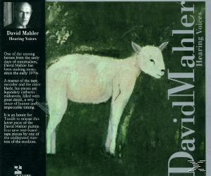 David Mahler - Hearing Voices - (CD)