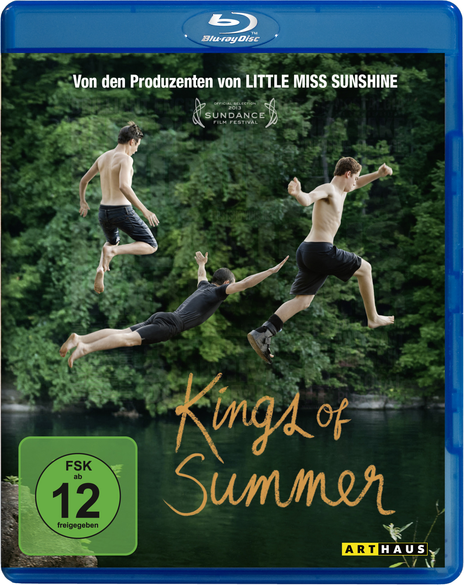 Filmcover mit 3 Jungen, die ins Wasser springen. Text: 'Kings of Summer'.