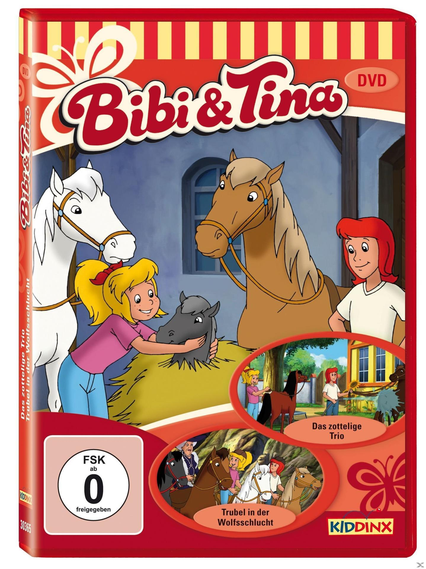DVD-Cover: Bibi & Tina-Zeichentrick mit Pferden und Mädchen. Roter Hintergrund mit DVD-Infos.