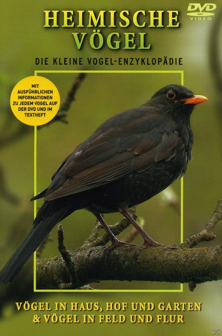 Heimische Vögel - Flur Haus,Hof,Garten, und DVD Feld