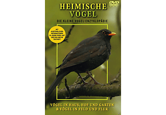 Heimische Vogel Haus Hof Garten Feld Und Flur Auf Dvd Online