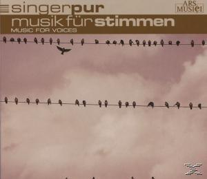 Singer Pur - Musik Für Stimmen  - (CD)