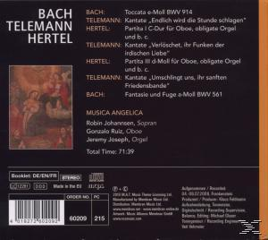 VARIOUS - Musica Angelica  - (CD)