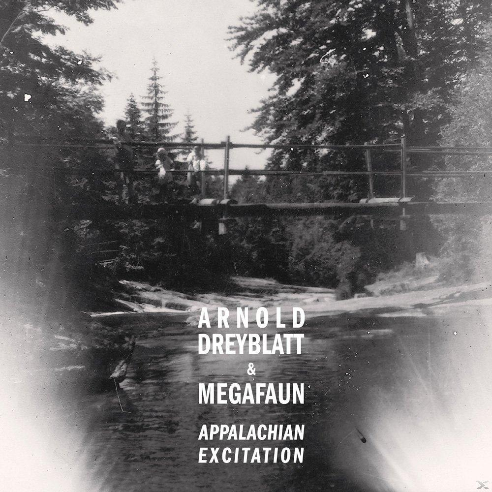 Dreyblatt And Arnold - Megafaun (CD) Excitation Appalachian -
