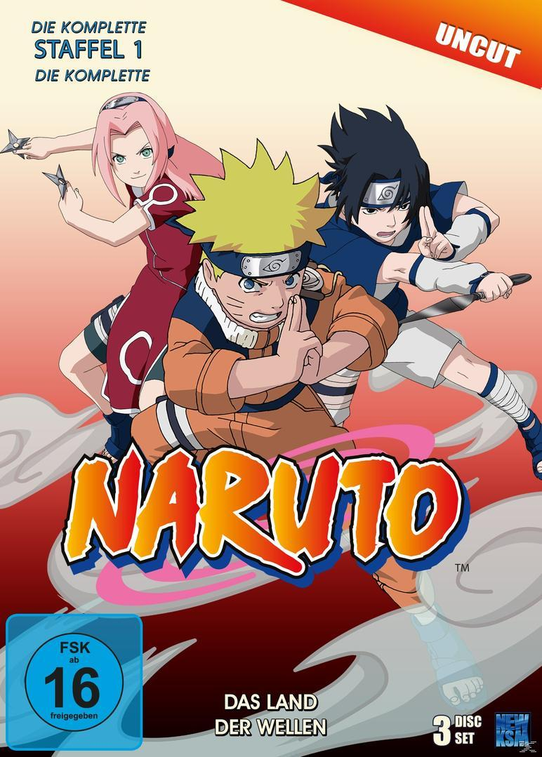 Naruto - Staffel 1 (uncut) [DVD]