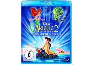 Arielle die Meerjungfrau 2 - Sehnsucht nach dem Meer (2013) [Blu-ray]