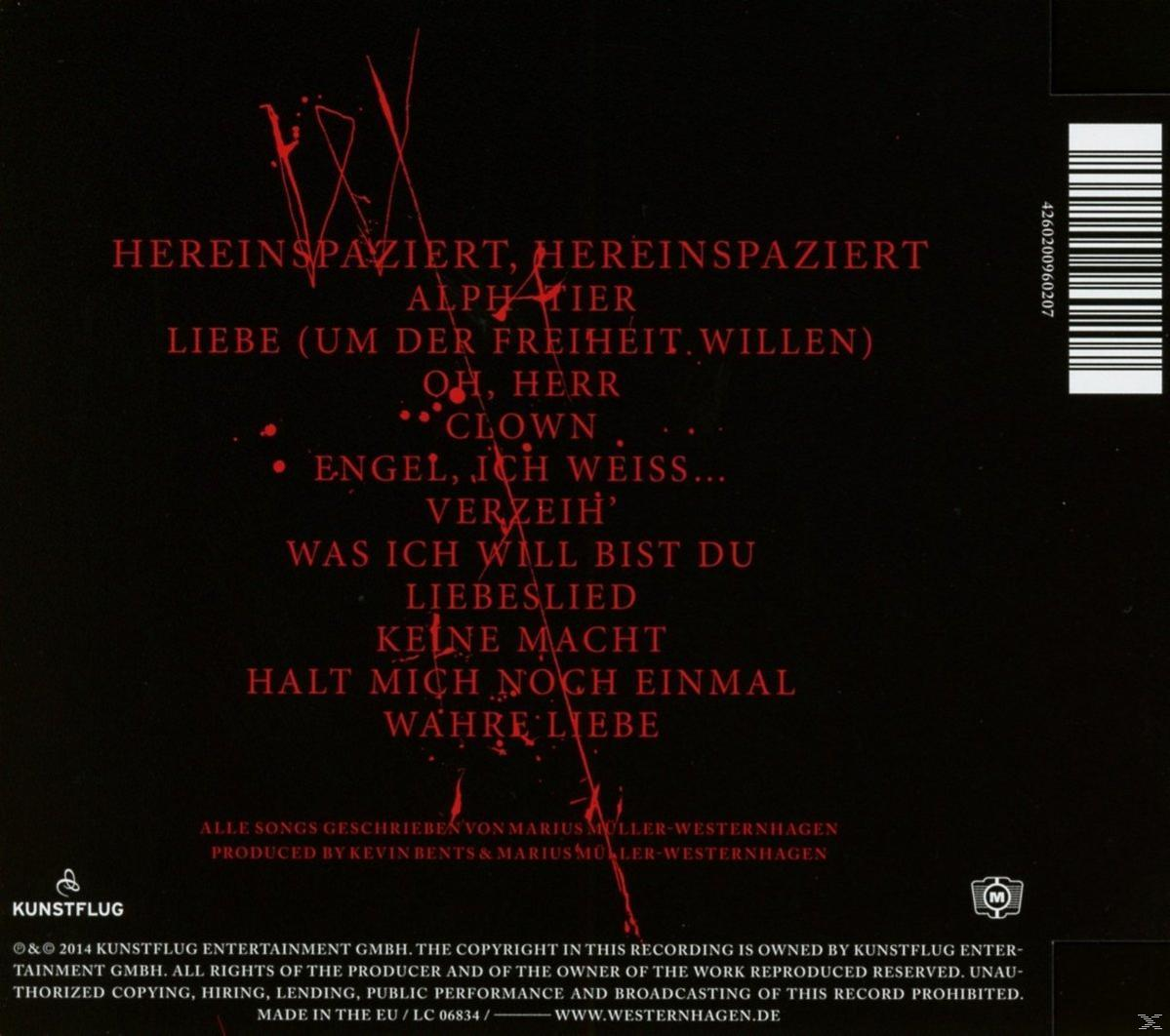 Album-Rückseite mit Songtiteln, Text und roten Linien.