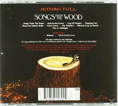 CD-Rückseite. Ein Baumstumpf auf dunkelbraunem Boden. Text: Songs from the Wood. Barcode unten.