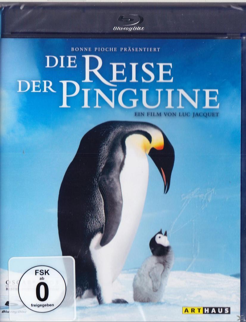 Die Blu-ray Pinguine der Reise