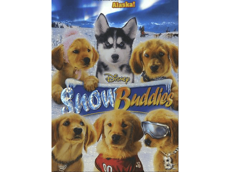 Snow Buddies - Abenteuer in Alaska [DVD]