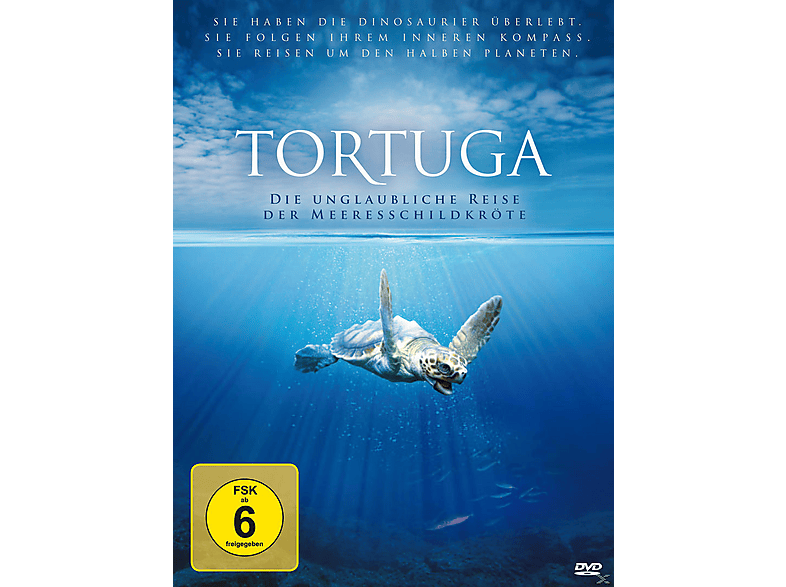 tortuga-unglaubliche-reise-der-meeresschild-dvd-mediamarkt